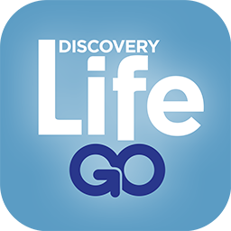 Discovery Life Channel Go